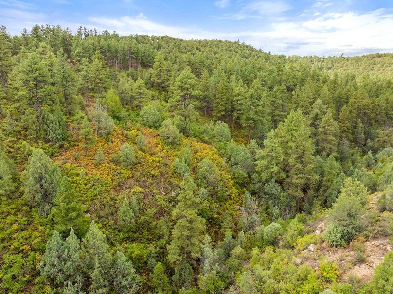 DJI_20250924102541_0018_D