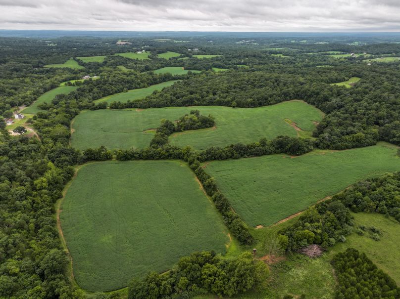 DJI_20230815082221_0015_D