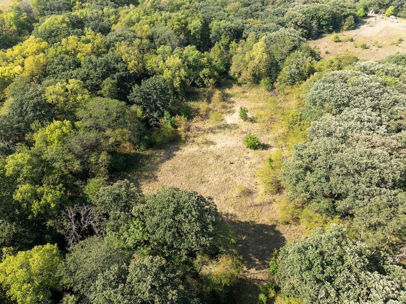 20240913-DJI_20240913105301_0111_D