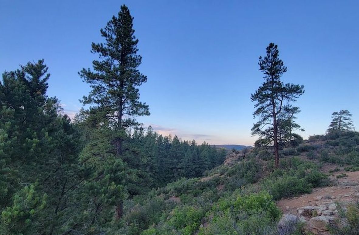 Copy of 20210827_070709