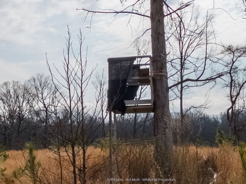 Holmes County - 108 - Rodriguez-79