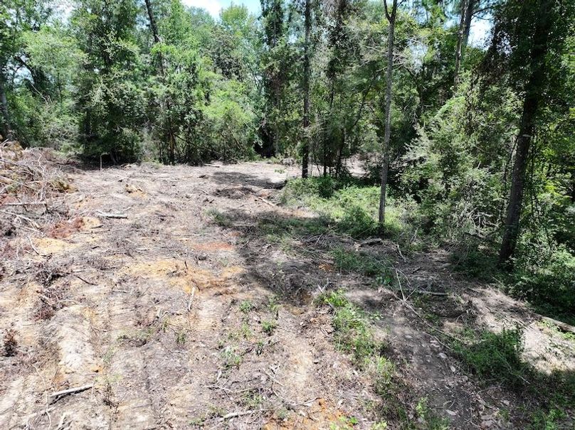 dji_fly_20250708_125800_0254_1752089864431_photo