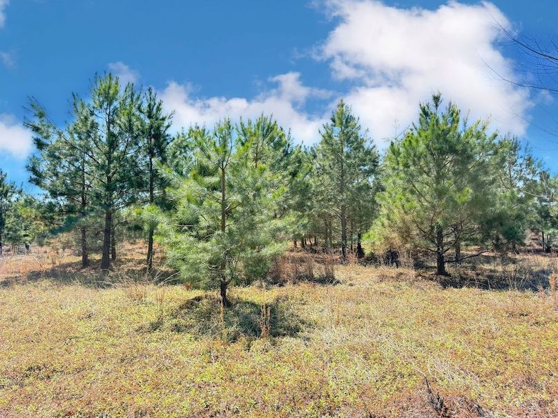 90884BE1-2F49-4934-8512-2AE65B7F35D2