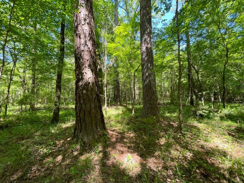 0B473580-74C6-47F8-96B1-63F422655DCD_1_105_c