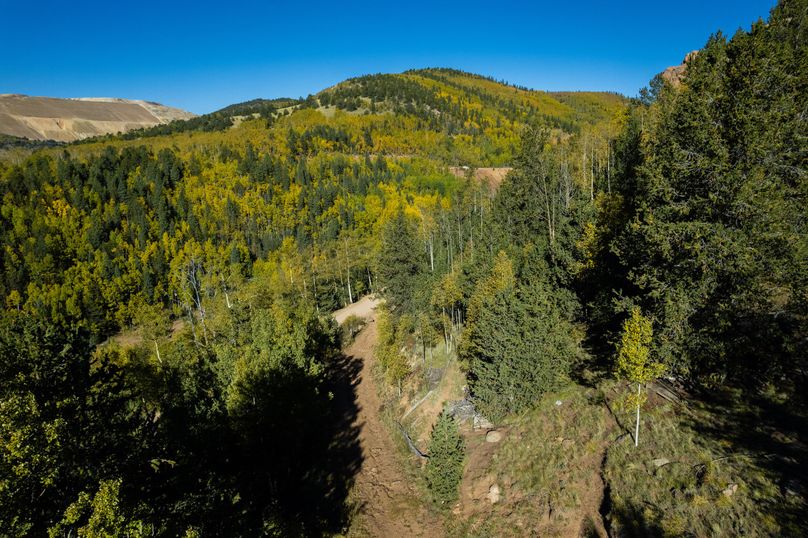 Teller Co 4.65 Thomas - 03 Driveway(1)