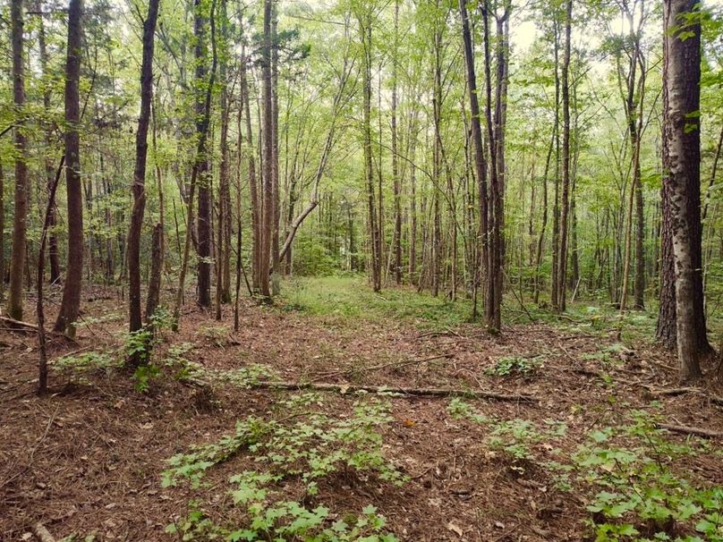 IMG_20250914_174413916