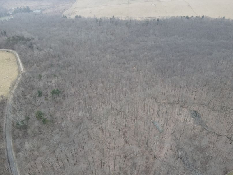 dji_fly_20230217_154554_3_1676666769732_photo