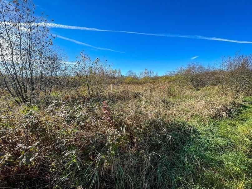 Clark 24.75 Winkel -38