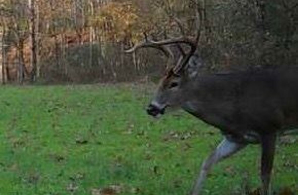 0EECA6D9-D651-487F-9236-BA872A5017B0_4_5005_c