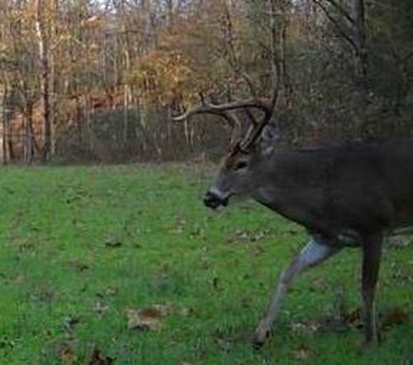 0EECA6D9-D651-487F-9236-BA872A5017B0_4_5005_c