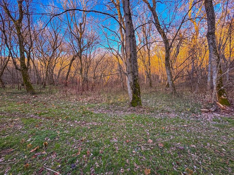 Pleasants_Wood 169.97 AC Cokeley-15