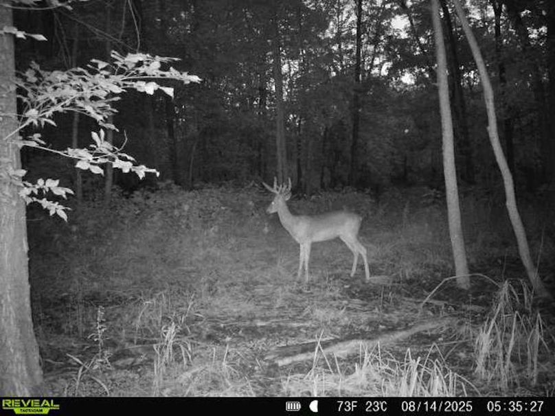 860516068101389-90-3-08142025053526-V-W1000211