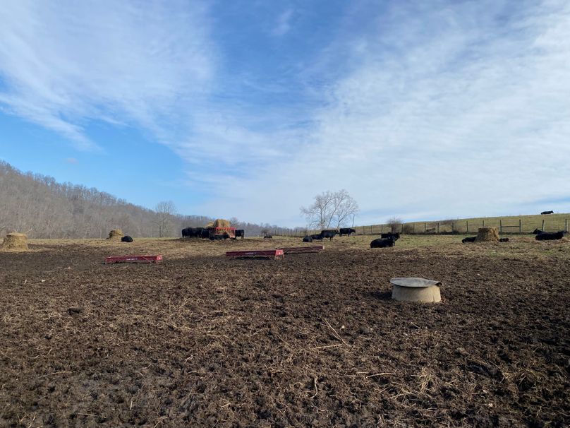 033 one of several feed lots copy