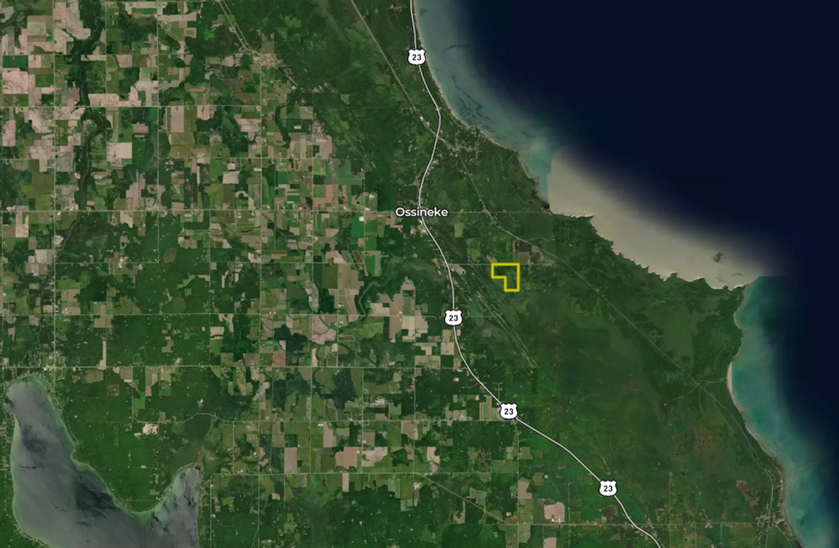 Screenshot 2026-02-26 at 12.10.52 PM