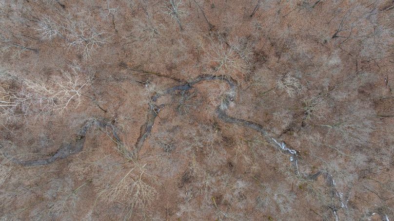 DJI_20260212074044_0003_D