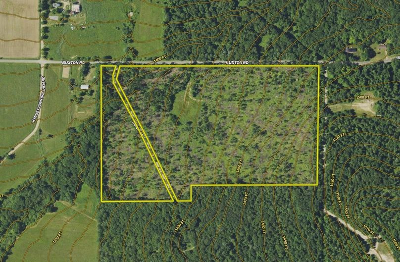 Screen Shot 2024-02-12 at 3.23.44 PM