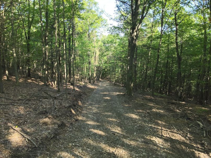 DJI_20240521083609_0021_V