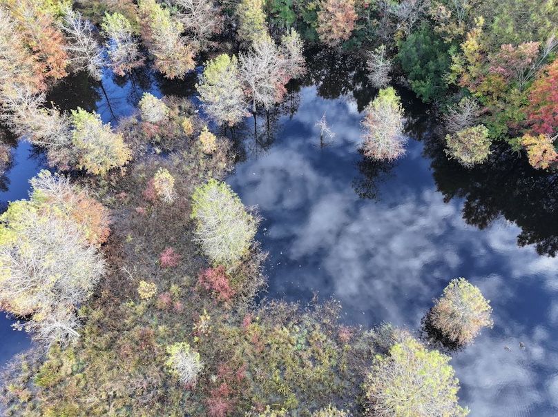 DJI_20251018095336_0130_D