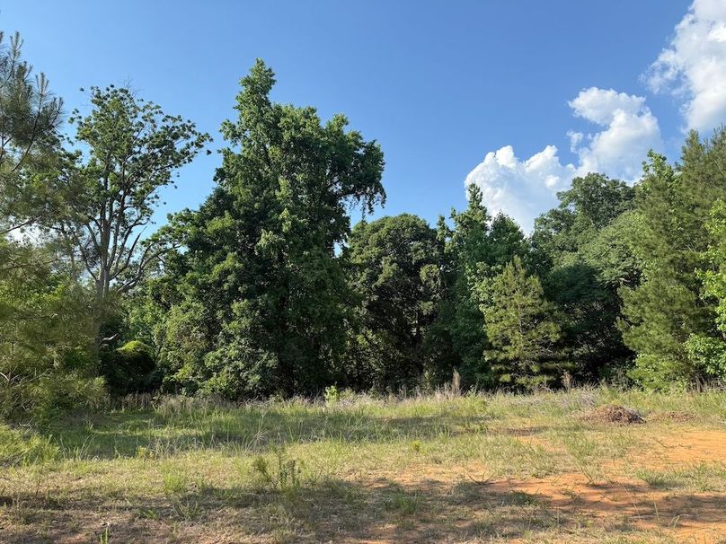 19 - opening near top of property