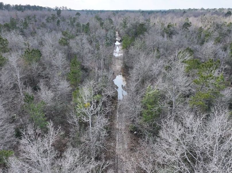 dji_fly_20260212_140138_0045_1771284247301_photo