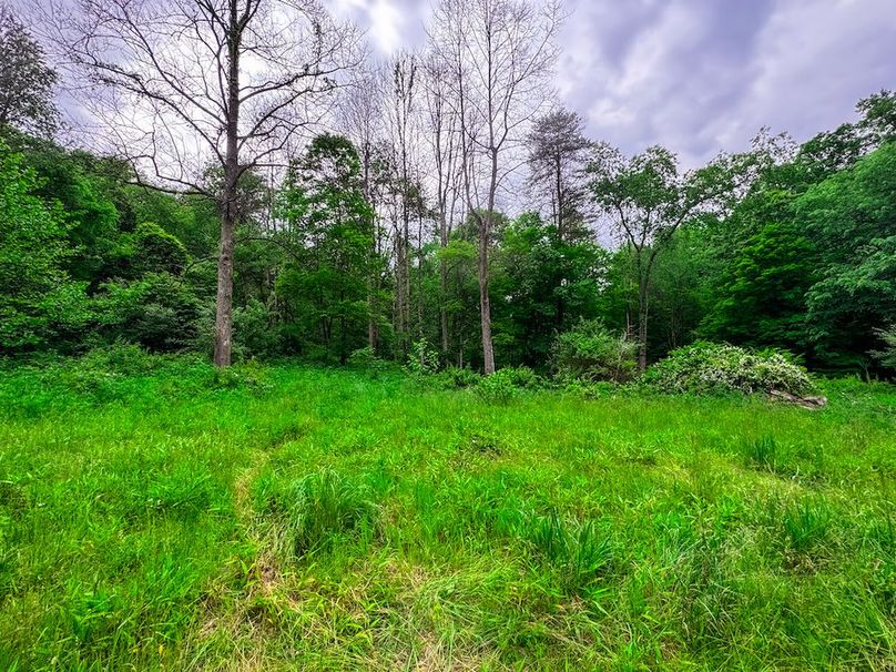 Tyler, WV 313.87 AC -45