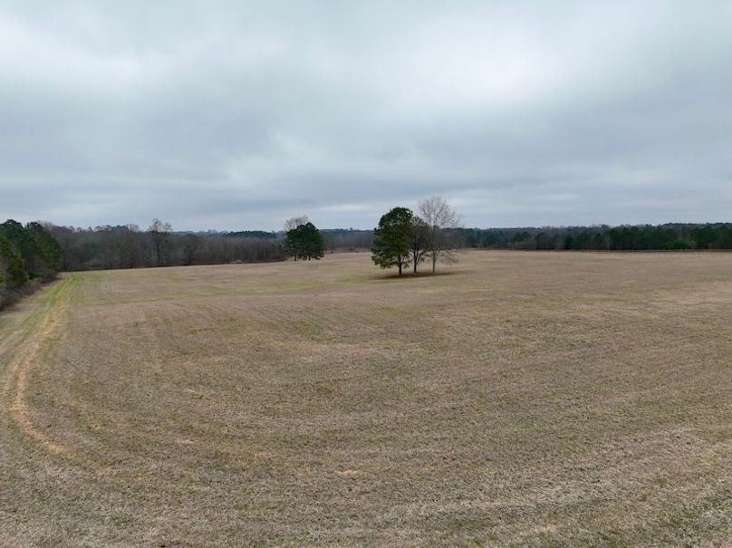 dji_fly_20260210_104158_250_1770738270467_photo