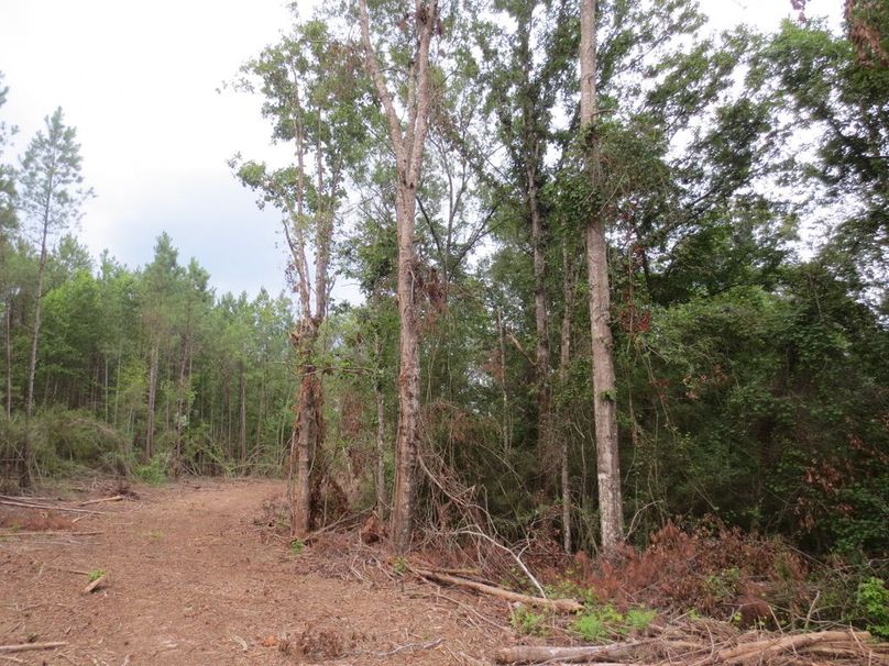 740DD2E3-6004-4EE1-89E2-AD02648A94CC_1_105_c