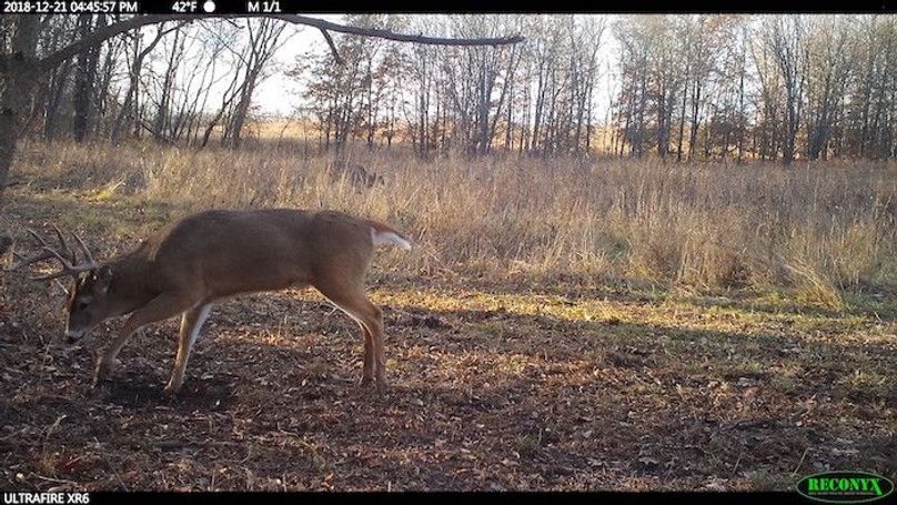 2018-12-21 16-45-57 M 1_1