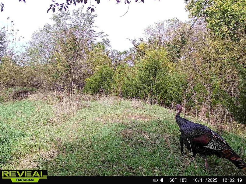 865814040443812-20-2-10112025120218-HD-W1003155