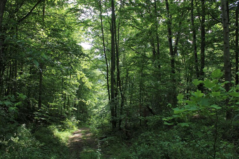 011 nice internal road system