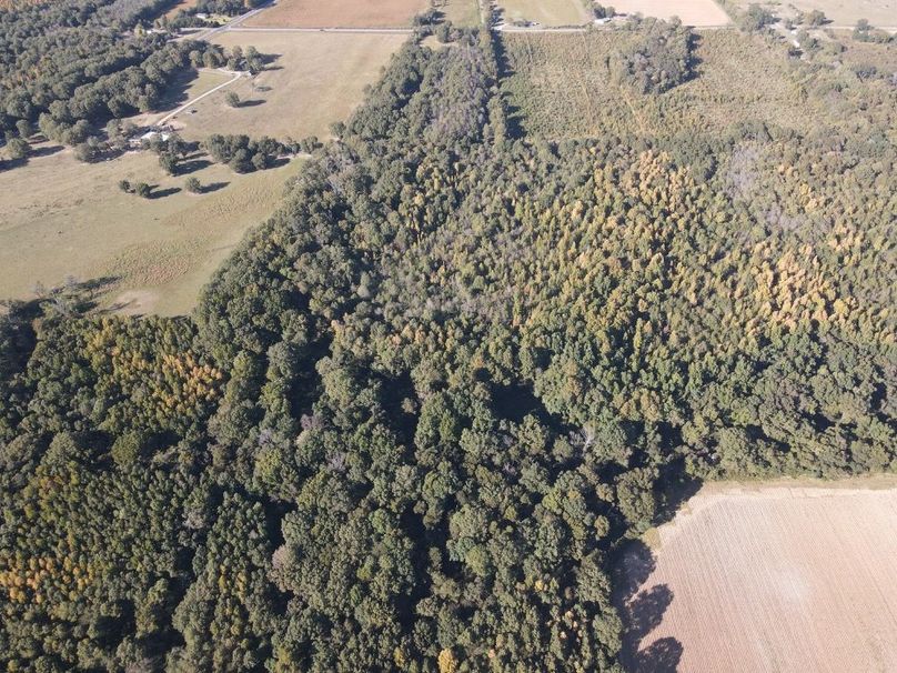 dji_fly_20241017_161320_350_1729199624374_photo