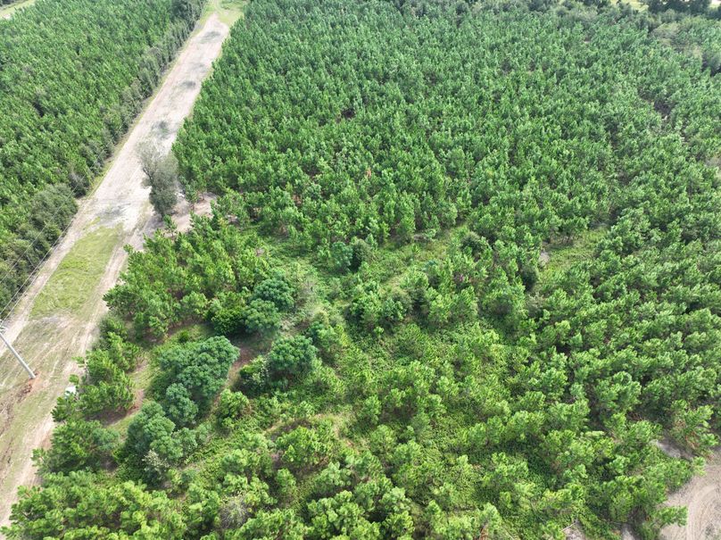 dji_fly_20230905_114352_637_1693928708293_photo