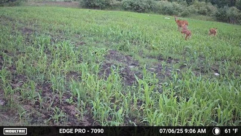 image639020102666373900