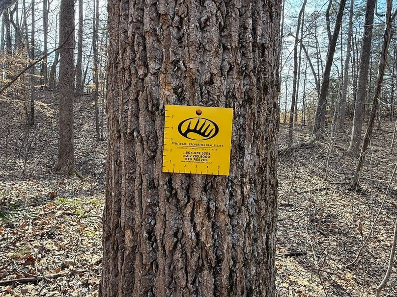 41C1538B-E86D-4D3B-95BF-D538158D6832_1_105_c