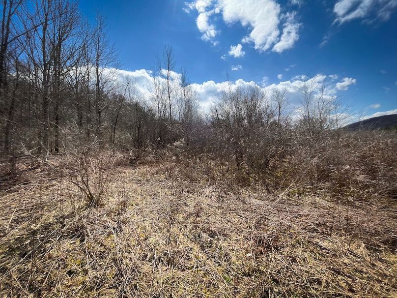 Tioga__NY_109.7_Burris_Photos_82