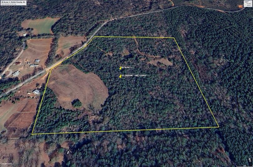 Aerial #2 Approx. 38 Acres Butler County, AL