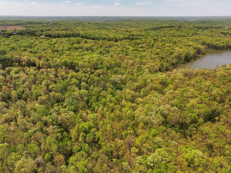 DJI_20260421123205_0006_D