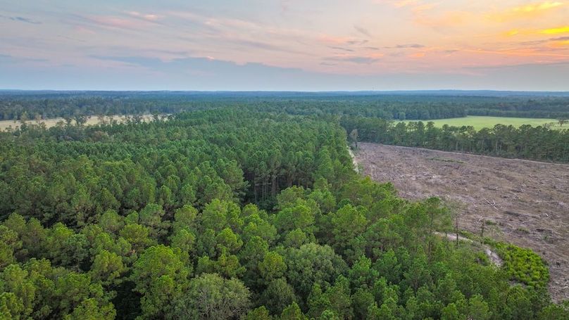 DJI_20250918190313_0306_D