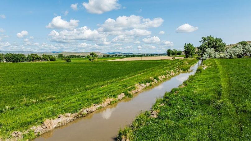 014_dji_20250603105229_0735_d_175