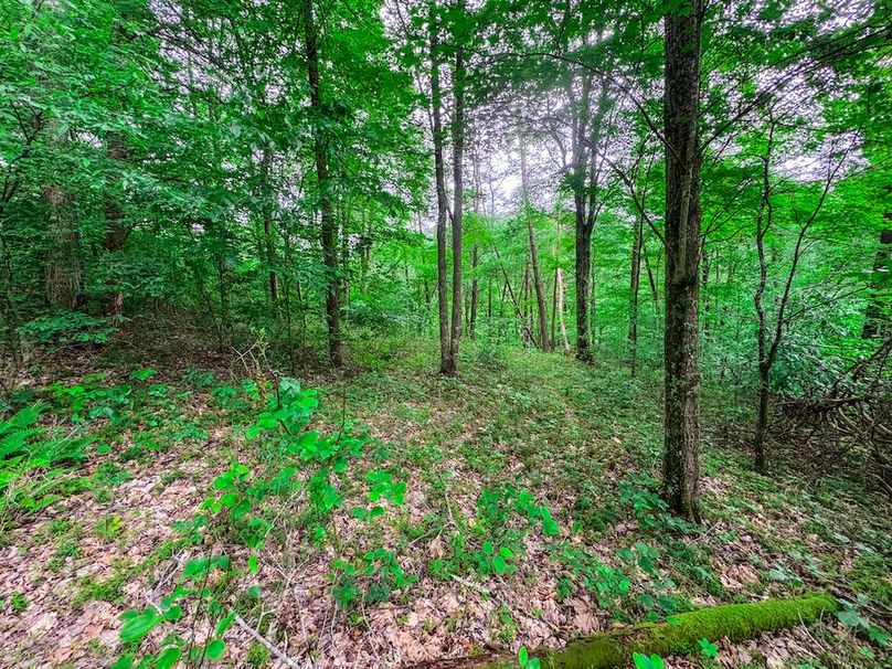 Tyler, WV 313.87 AC -36