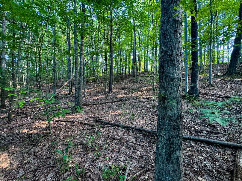 Lewis, WV 82.87 AC Barger-088