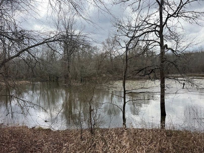 311 new20260217_0487