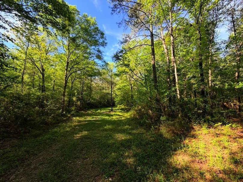 5408E4B5-D2BD-4DBB-B735-4F9BA75FF400_1_105_c