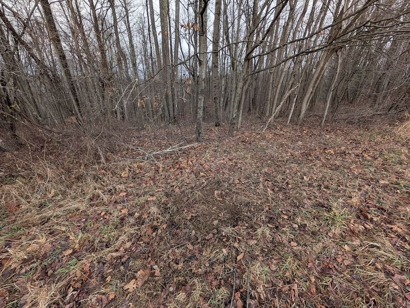 PXL_20260107_175943111