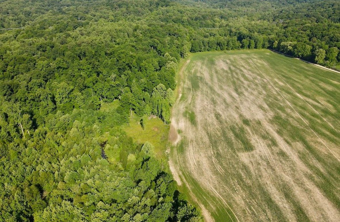 dji_fly_20260604_093734_64_1780580270806_photo