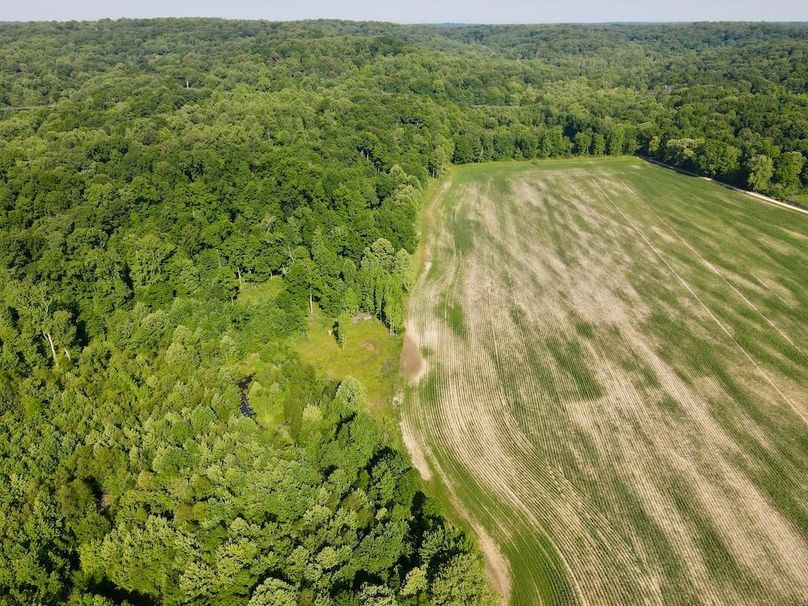dji_fly_20260604_093734_64_1780580270806_photo