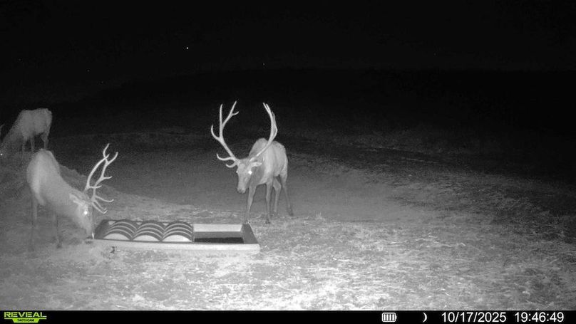 a0668da5-da2b-4aef-abec-69c798d7e88e