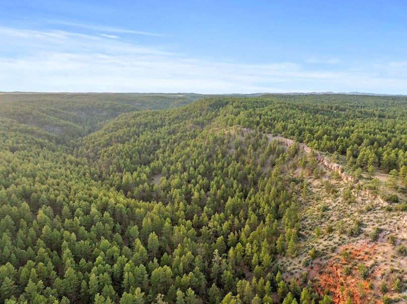 25-DJI_20250507185336_0778_D