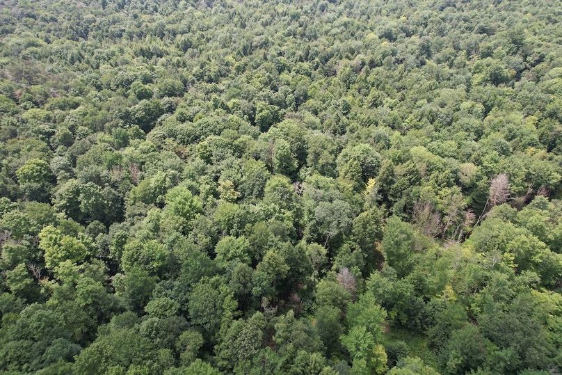 Oswego_133.72_Middleton_Photos_23