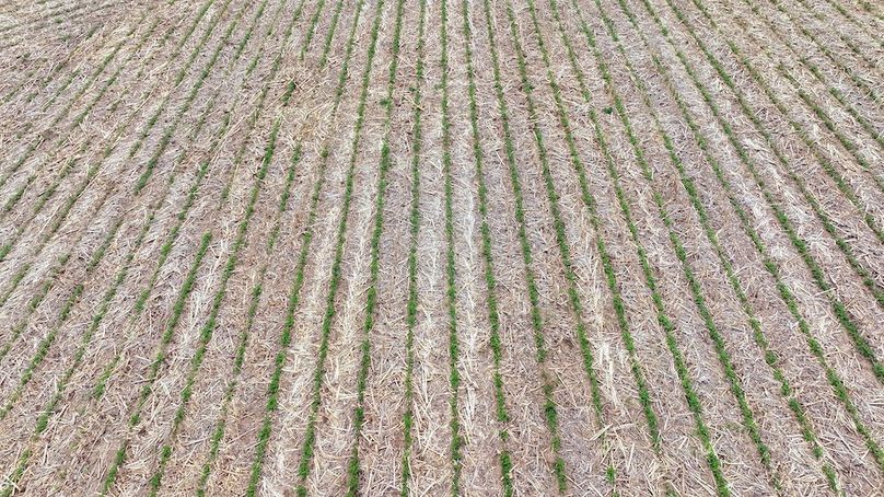 FREMONT CO IA 119.4_24